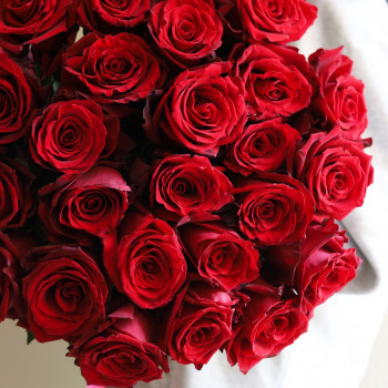 Крупные красные розы