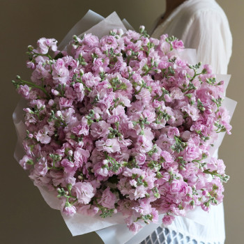 Букет розовой кустовой маттиолы