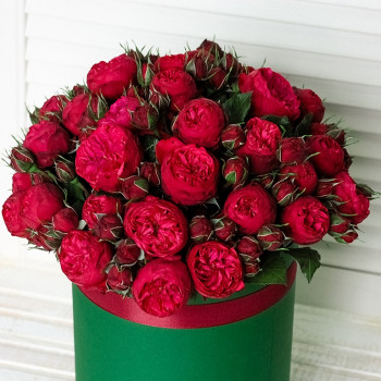 Красные пионовидные розы в коробке