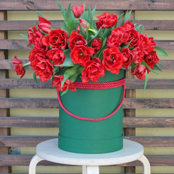 Красные махровые тюльпаны в коробке