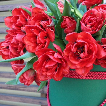 Красные махровые тюльпаны в коробке
