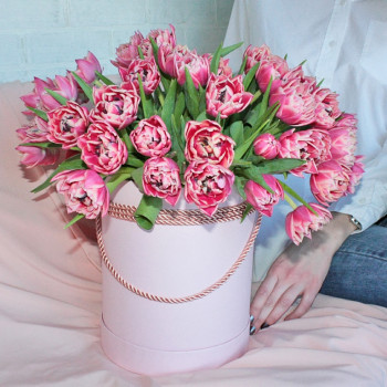 Розовые махровые тюльпаны в коробке