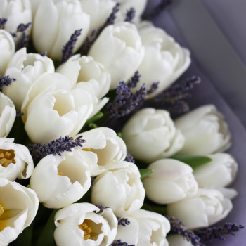 Букет из белых тюльпанов и лаванды