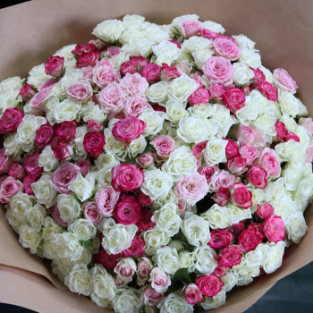 Кустовые бело-розовые розы