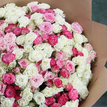 Кустовые бело-розовые розы