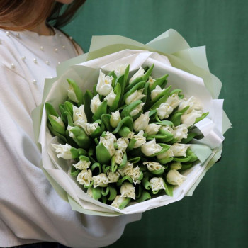 Белые тюльпаны Либерстар