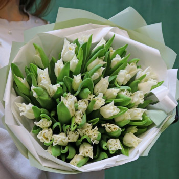 Белые тюльпаны Либерстар