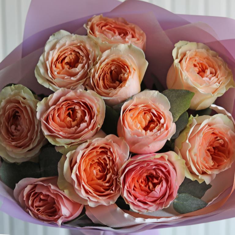 Роза гравити Dakota flora | Доставка цветов по Москве | Интернет магазин  цветов dakotaflora.com